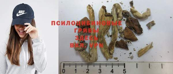 mdpv Коряжма