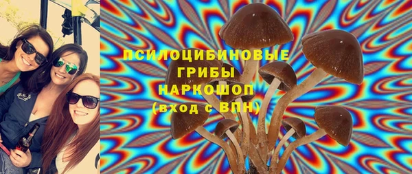 мяу мяу мука Корсаков
