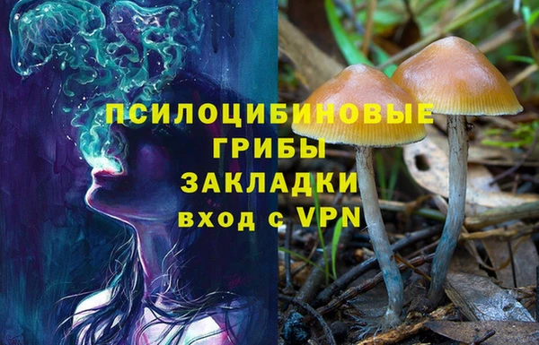 mdpv Коряжма