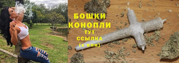 амф Костерёво