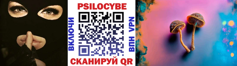 купить наркотики сайты  Тольятти  мориарти наркотические препараты  Псилоцибиновые грибы MAGIC MUSHROOMS 